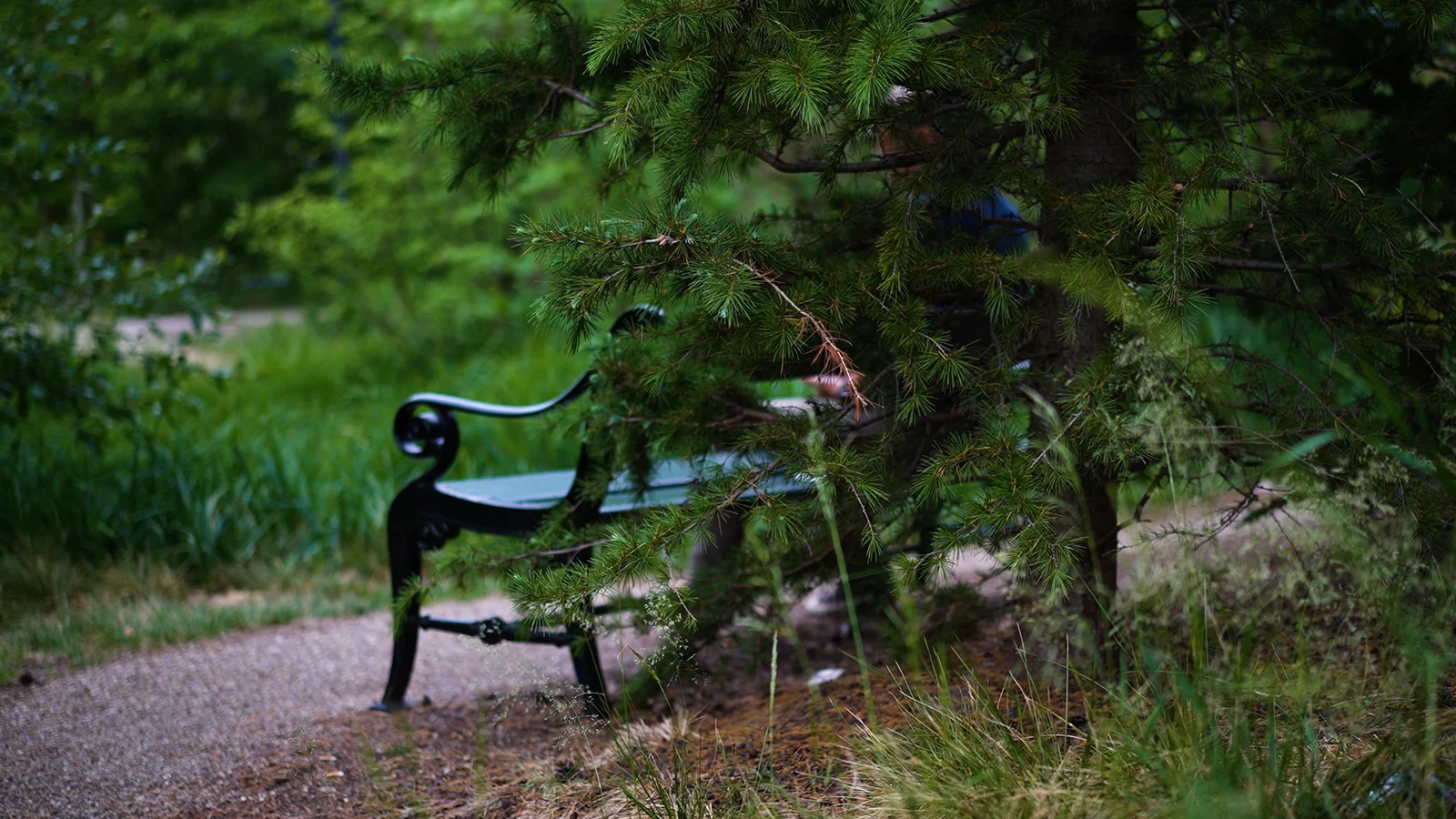 Bæredygtigt byggeri og biodiversitet i den danske byudvikling