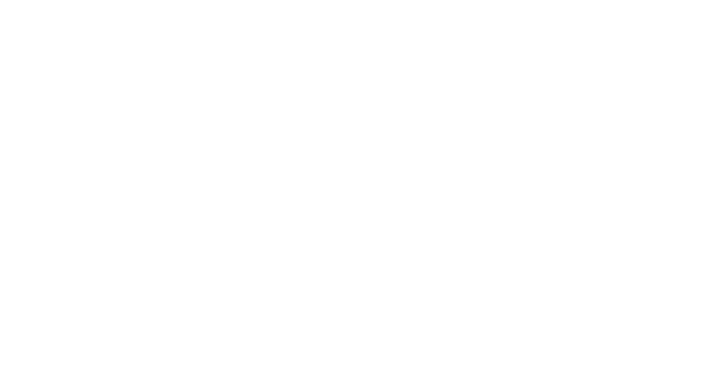 Skou Gruppen